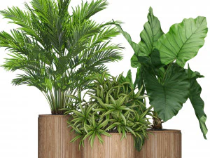 Bitki koleksiyonu 549 3D Model