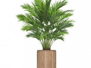 Plants collection 549 3D Model