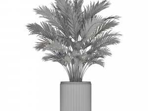 Plants collection 549 Model 3D