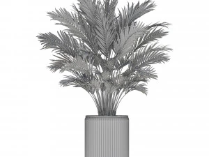 Plants collection 549 3D Model