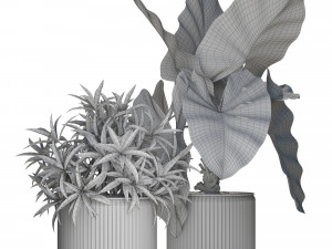 Plants collection 549 Model 3D