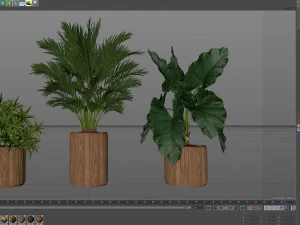 Plants collection 549 3D Model
