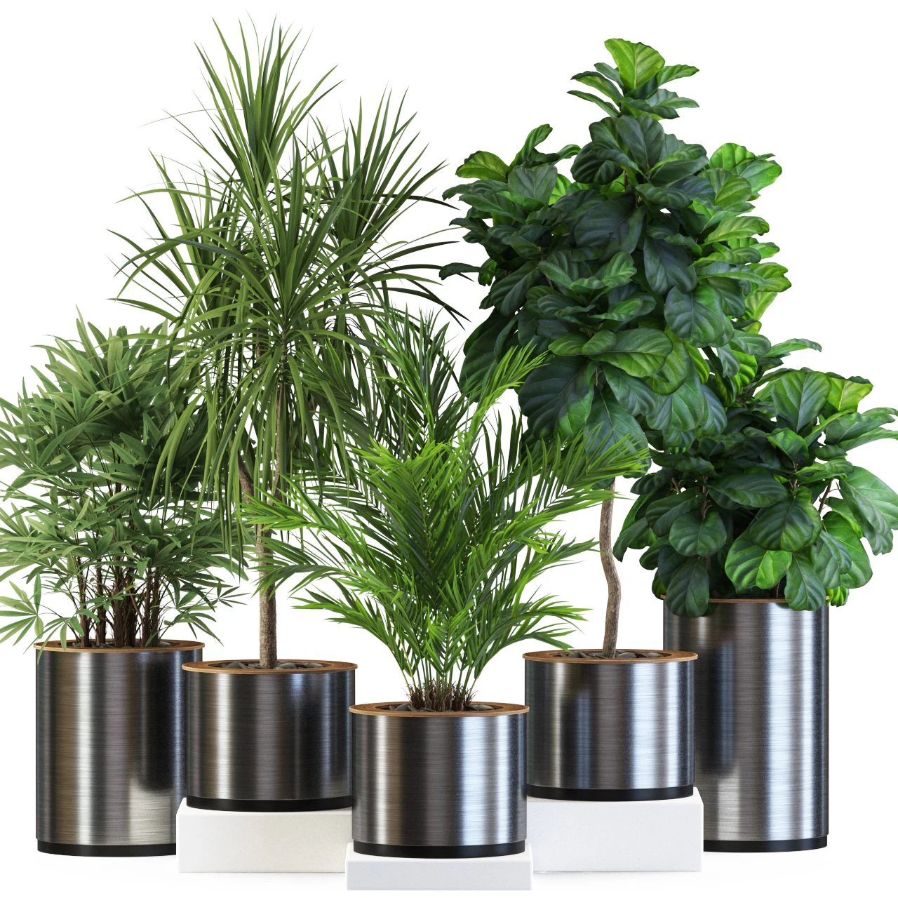 Plants collection 550 3D Model .c4d .max .obj .3ds .fbx .stl .blend 