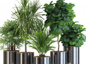 Plants collection 550 3D Модель
