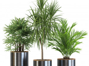 Plants collection 550 3D मॉडल