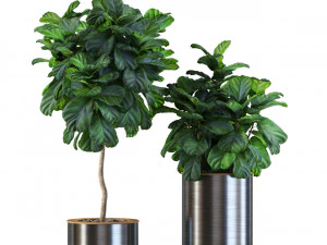 Plants collection 550 3D Model