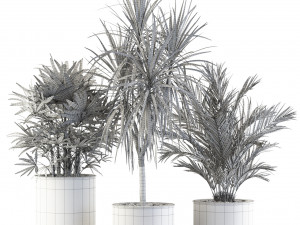 Plants collection 550 3D मॉडल