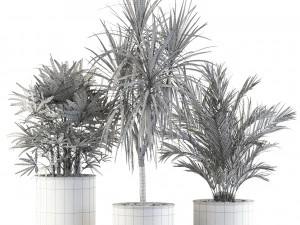 Plants collection 550 3D Model