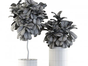 Plants collection 550 3D Model