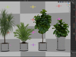 Plants collection 550 3D मॉडल