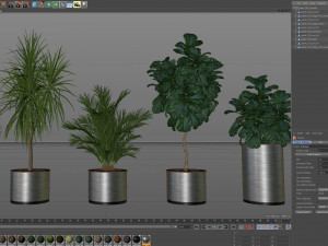 Plants collection 550 3D मॉडल