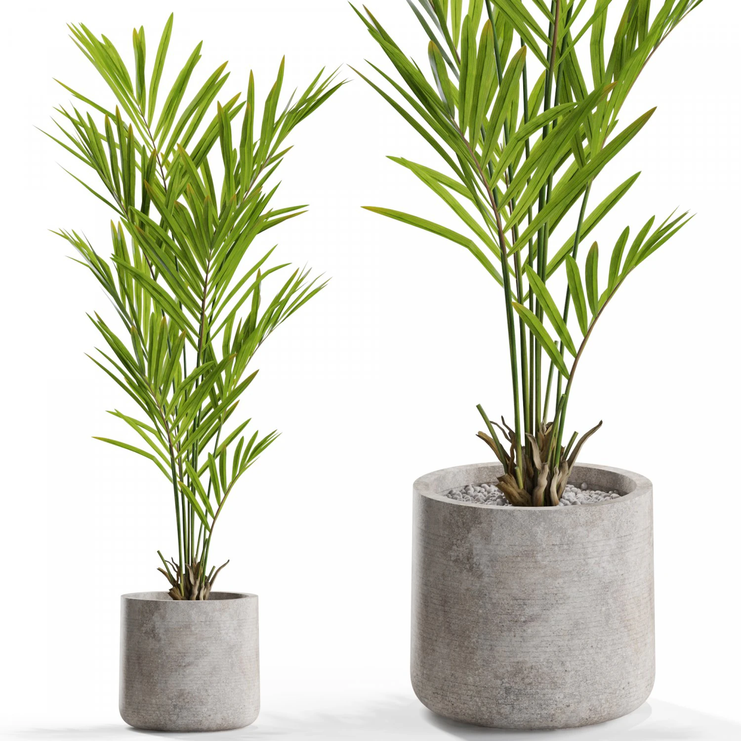 Plants collection 551 3D Model .c4d .max .obj .3ds .fbx .stl .blend 