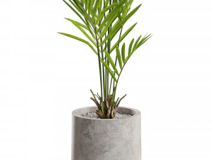 Plants collection 551 3D Model