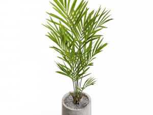 Plants collection 551 3D Model