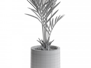Plants collection 551 Modèle 3D