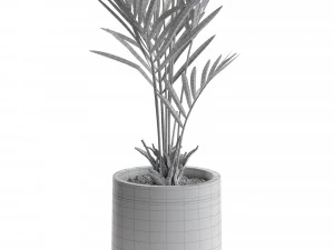 Plants collection 551 3D Model