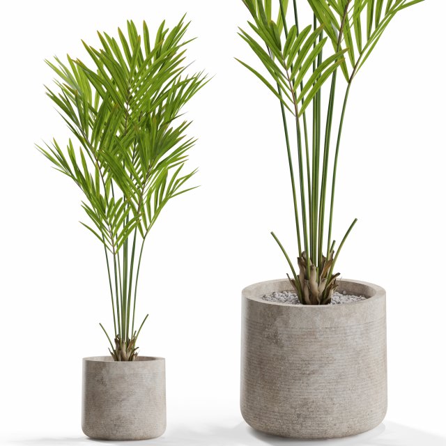Plants collection 552 3D Model .c4d .max .obj .3ds .fbx .stl .blend 