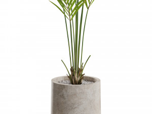 Plants collection 552 3D Model