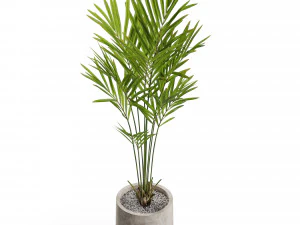 Plants collection 552 3D Model