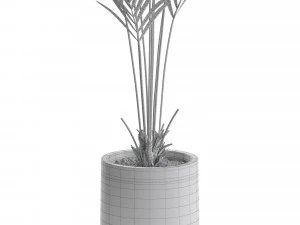 Plants collection 552 3D Model