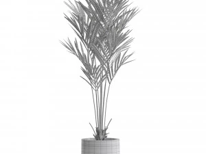 Plants collection 552 3D Model