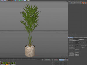 Plants collection 552 3D Model