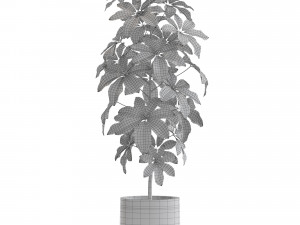 Plants collection 553 3Dモデル