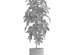Plants collection 553 3D Model