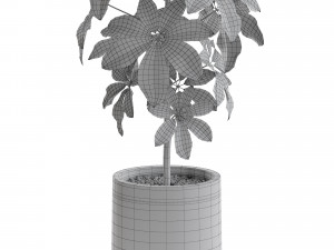 Plants collection 553 3Dモデル