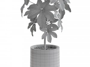 Plants collection 553 3D Model
