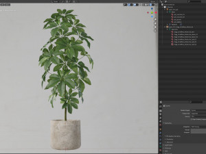Plants collection 553 3Dモデル