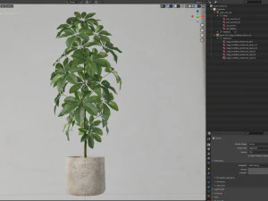 Plants collection 553 3D Model