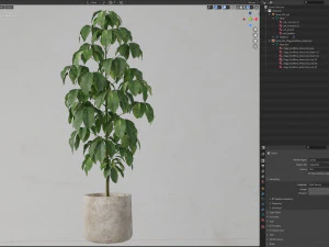 Коллекция растений 554 3D Модель