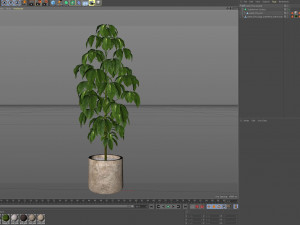 Plants collection 554 3Dモデル