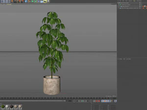 Коллекция растений 554 3D Модель