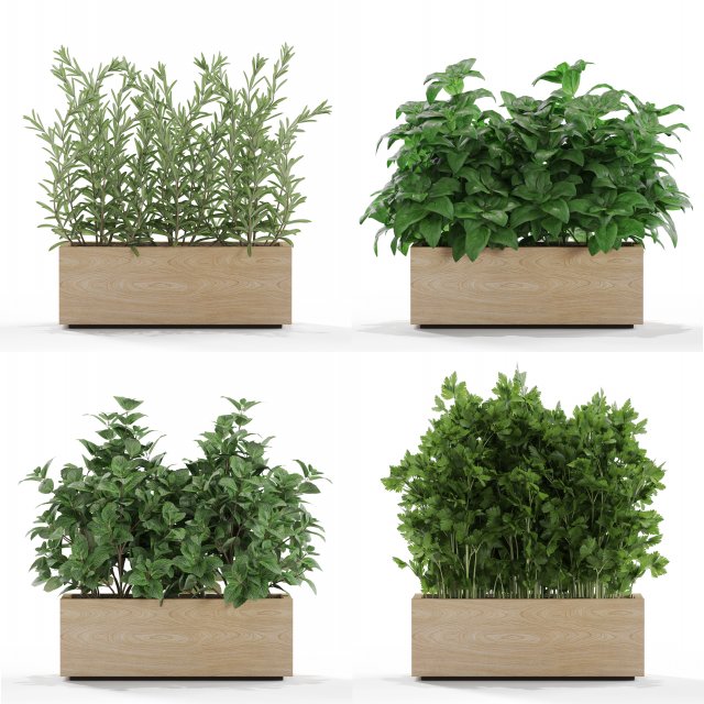 Plants collection 555 Modelo 3D .c4d .max .obj .3ds .fbx .stl .blend 