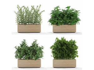 Plants collection 555 3Dモデル