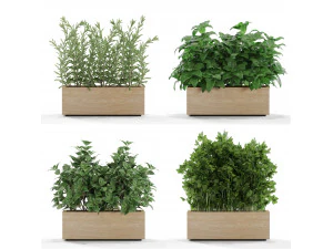 Cole&ccedil;&atilde;o de plantas 555 Modelo 3D