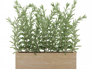 Plants collection 555 Modelo 3D