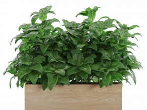Plants collection 555 Modelo 3D