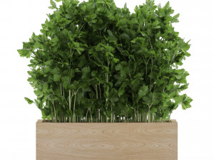 Plants collection 555 Modelo 3D