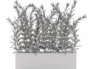 Plants collection 555 Modelo 3D