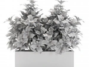 Plants collection 555 3D Model
