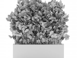 Plants collection 555 3D Model