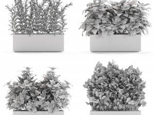 Plants collection 555 Modelo 3D