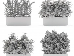 Plants collection 555 3D Model