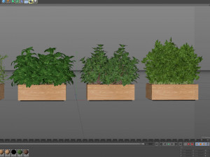 Plants collection 555 Modelo 3D
