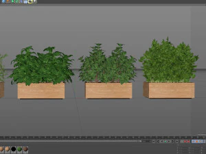 Plants collection 555 3D Model
