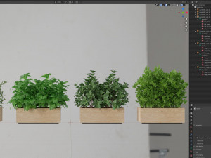 Plants collection 555 Modelo 3D