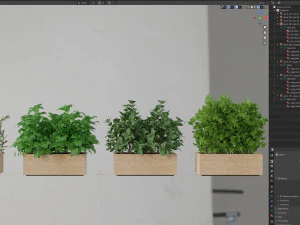 Plants collection 555 3D Model